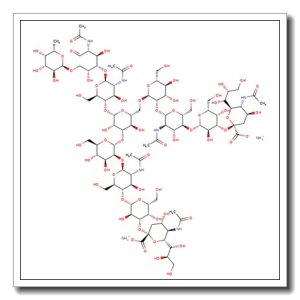 A2F N-Glycan