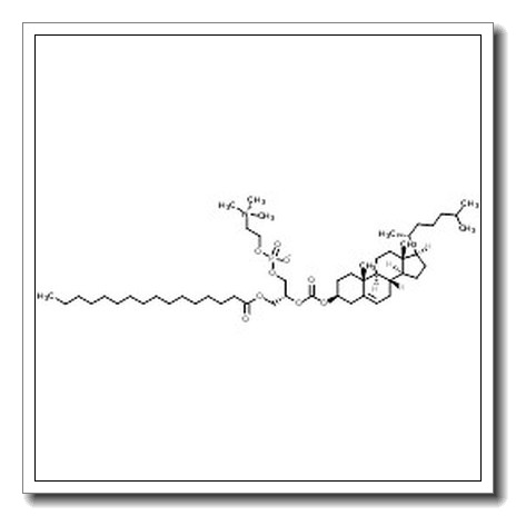 (2R)-2-({[(3β)-Cholest-5-en-3-yloxy]carbonyl}oxy)-3-(palmitoyloxy)propyl 2-(trimethylammonio)ethyl phosphate CAS 1085528-78-4 