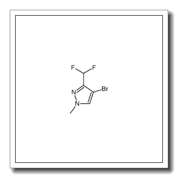 4-bromo-3-(difluoromethyl)-1-methylpyrazole CAS 1089212-38-3