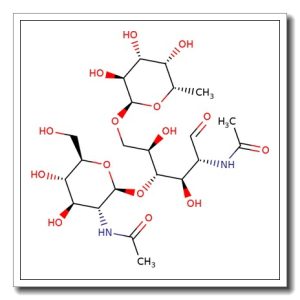 N2F N-Glycan