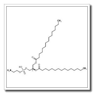 (2R)-3-{[(2-Aminoethoxy)(hydroxy)phosphoryl]oxy}-2-(pentadecanoyloxy)propyl pentadecanoate