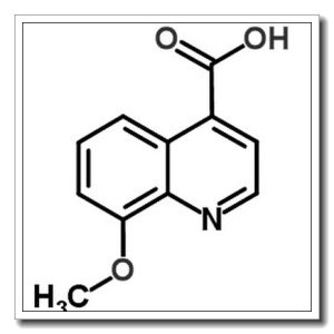 8-Methoxy-4-quinolinecarboxylic acid