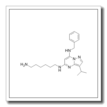 5-N-(6-aminohexyl)-7-N-benzyl-3-propan-2-ylpyrazolo[1,5-a]pyrimidine-5,7-diamine,hydrochloride CAS 1092443-52-1