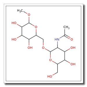 Methyl 3-O-(2-acetamido-2-deoxy-b-D-galactopyranosyl)-a-D-galactopyranoside