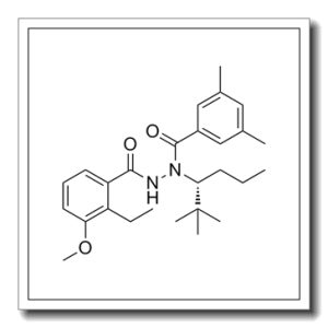 Veledimex