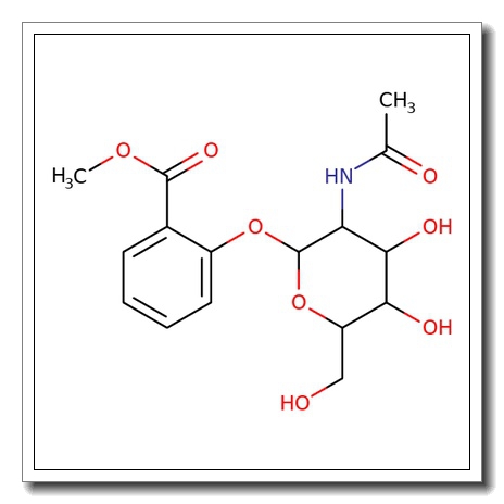 2-Methoxycarbonylphenyl 2-acetamido-2-deoxy-β-D-glucopyranoside