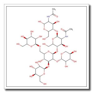 Man-3Xyl N-Glycan