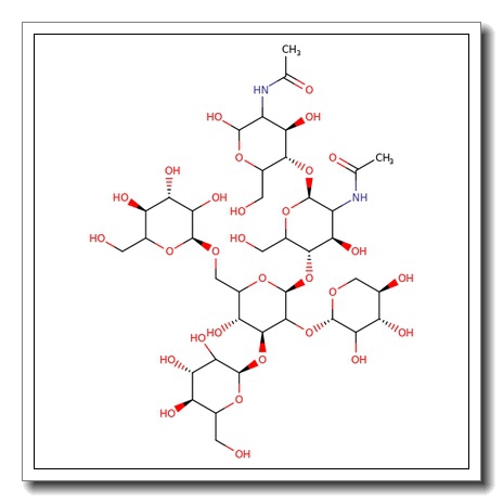 Man-3Xyl N-Glycan