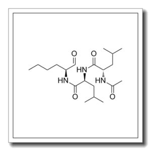 钙蛋白酶抑制剂I