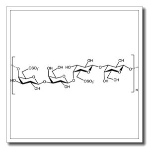 Porphyran