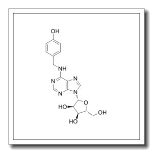 N6-(4-羟基苄基)腺苷