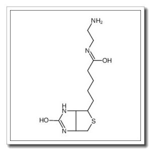 N-(2-Aminoethyl)-5-(2-oxohexahydro-1H-thieno[3,4-d]imidazol-4-yl) pentanamide