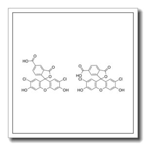 5(6)-羧基-2′,7′-二氯荧光素