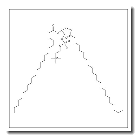 [(2R)-2,3-di(tricosanoyloxy)propyl] 2-(trimethylazaniumyl)ethyl phosphate