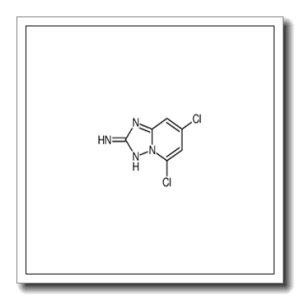 5,7-二氯-[1,2,4]噻唑并[1,5-a]吡啶-2-胺