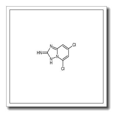 5,7-dichloro-[1,2,4]triazolo[1,5-a]pyridin-2-amine CAS 1124383-04-5