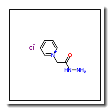 1-(2-Hydrazinyl-2-oxoethyl)pyridin-1-ium chloride CAS 1126-58-5