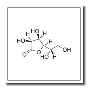 L-古洛糖酸-γ-内酯