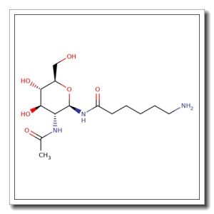 2-Acetamido-N-(e-aminocaproyl)-2-deoxy-b-D-glucopyranosyl amine