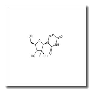 1-(2′-C-methyl-β-D-arabinofuranosyl)uracil