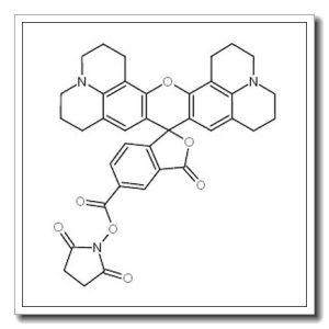 5(6)-羧基-x-罗丹明-n-羟基琥珀酰亚胺酯