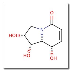 [1S- (1a, 2a, 8a, 8ab) ] -2, 3, 8, 8a-Tetrahydro- 1, 2, 8- trihydroxy-5(1H) – indolizinone