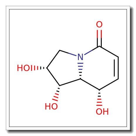 [1S- (1a, 2a, 8a, 8ab) ] -2, 3, 8, 8a-Tetrahydro- 1, 2, 8- trihydroxy-5(1H) - indolizinone CAS 114894-81-4