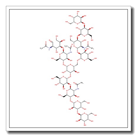 Galα(1-3) N-Glycan