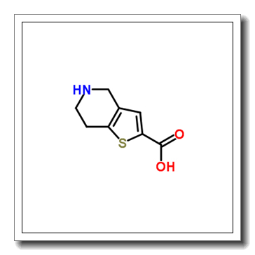 4,5,6,7-四氢噻吩[3,2-C]吡啶-2-羧酸