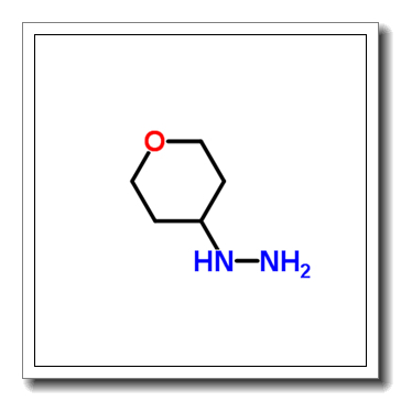 1-(四氢-2H-吡喃-4-基)肼盐酸盐