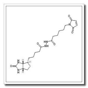 6-(2,5-Dioxo-2,5-dihydro-1H-pyrrol-1-yl)-N’-{5-[(3aS,4S,6aR)-2-oxohexahydro-1H-thieno[3,4-d]imidazol-4-yl]pentanoyl}hexanehydrazide