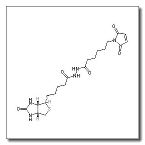 6-(2,5-Dioxo-2,5-dihydro-1H-pyrrol-1-yl)-N'-{5-[(3aS,4S,6aR)-2-oxohexahydro-1H-thieno[3,4-d]imidazol-4-yl]pentanoyl}hexanehydrazide CAS 116919-18-7 