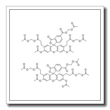 2′,7′-二-(2-羧乙基)-5(6)-羧基荧光素乙酰甲酯