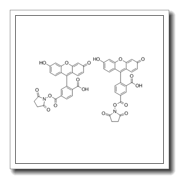 5(6)-Carboxyfluorescein N-hydroxysuccinimide ester CAS 117548-22-8