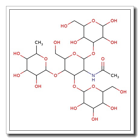Lewis A tetrasaccharide