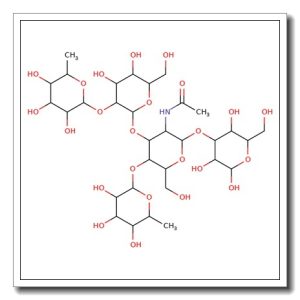 Lewis B pentasaccharide