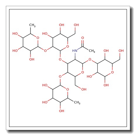 Lewis B pentasaccharide
