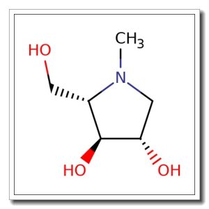 (2S, 3S, 4S) -2- (Hydroxymethyl) – 1- methyl- 3, 4- pyrrolidinediol
