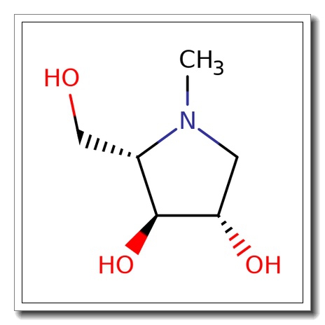 (2S, 3S, 4S) -2- (Hydroxymethyl) – 1- methyl- 3, 4- pyrrolidinediol
