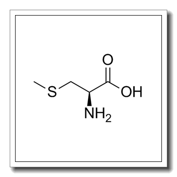 S-methyl-L-cysteine CAS 1187-84-4