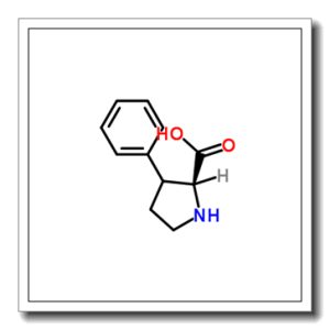 3-苯基-L-脯氨酸