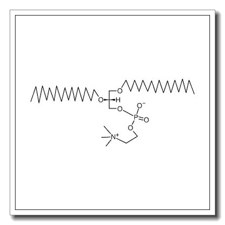 1,2-di-O-octadecyl-sn-glycero-3-phosphatidylcholine CAS 1188-85-8 