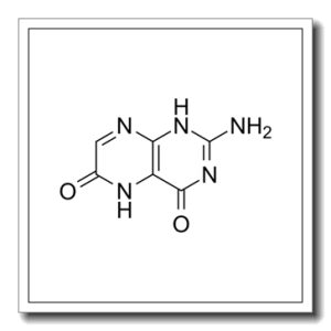 酵母粉