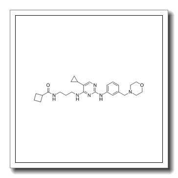 N-[3-[[5-cyclopropyl-2-[3-(morpholin-4-ylmethyl)anilino]pyrimidin-4-yl]amino]propyl]cyclobutanecarboxamide CAS 1190378-57-4