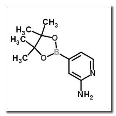 2-氨基吡啶-4-硼酸频哪醇酯