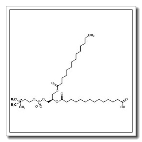 (2R)-2-[(13-Carboxytridecanoyl)oxy]-3-(tetradecanoyloxy)propyl 2-(trimethylammonio)ethyl phosphate