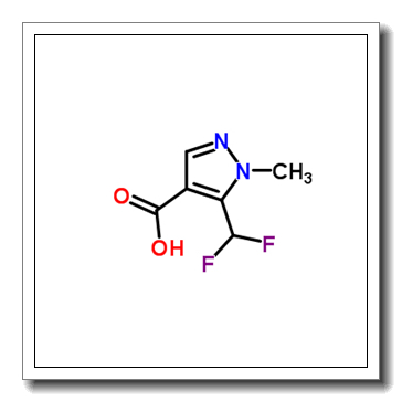 5-(difluoromethyl)-1-methylpyrazole-4-carboxylic acid CAS 1204298-65-6