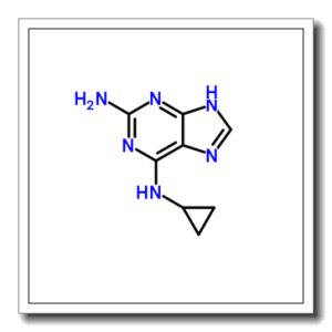 2-氨基-6-环丙基氨基-9H-嘌呤