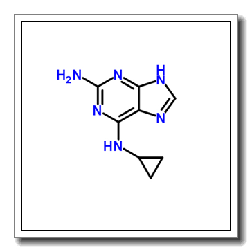 6-N-cyclopropyl-7H-purine-2,6-diamine CAS 120503-69-7
