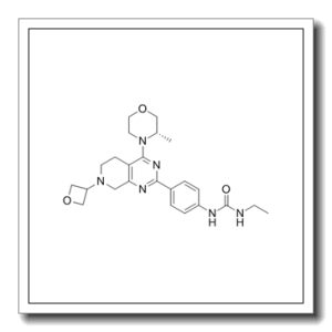 N-ETHYL-N’-[4-[5,6,7,8-四氢-4-[(3S)-3-甲基-4-吗啉基]-7-(3-氧杂环丁基)吡啶并[3,4-D]嘧啶-2-基]苯基]脲